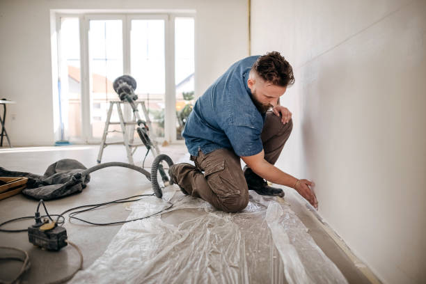 Best Drywall Finishing  in Leslie, MI