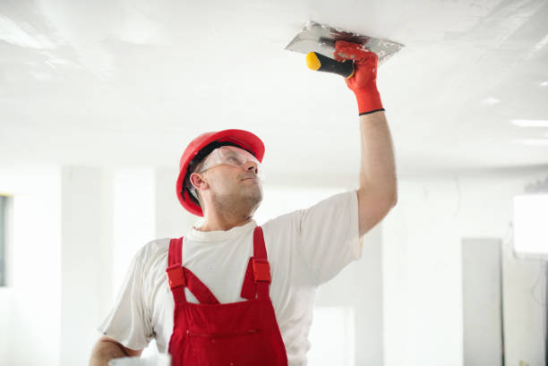 Best Interior Painting  in Leslie, MI